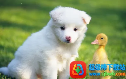 ��Ŵ�ѧ2025���°汾