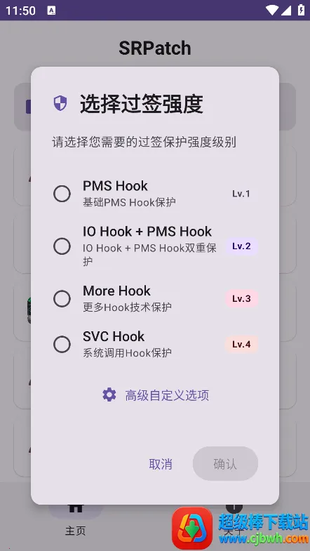 SR Patch2025下载安装 SR Patch2025下载安装