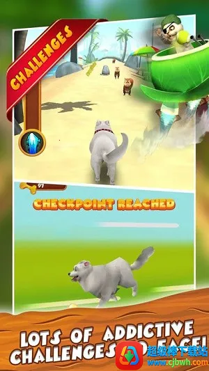 ���ܵ�С����׿���ֻ���