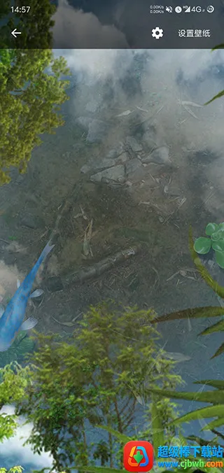 ��ض�̬��ֽ��׿���ֻ���