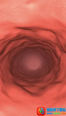 ����̽��2026�ٷ����°汾