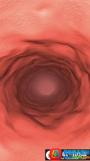 ����̽��2026�ٷ����°汾