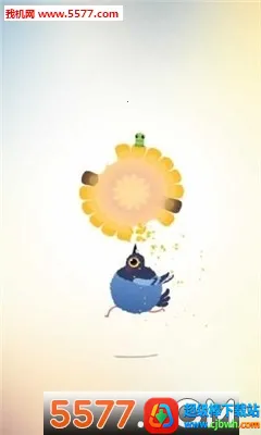 ���ĸ���