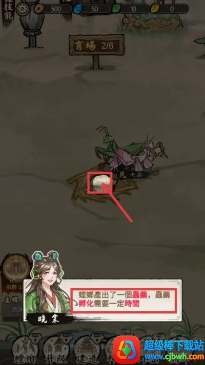 极品螳螂 极品螳螂