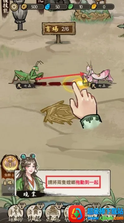 极品螳螂 极品螳螂