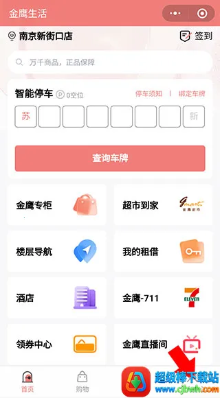 掌上金鹰 掌上金鹰