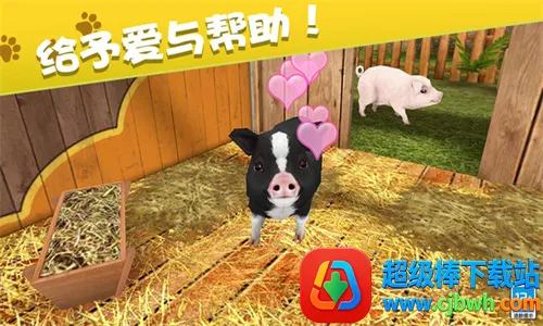 �ҵĶ���������׿���ֻ���