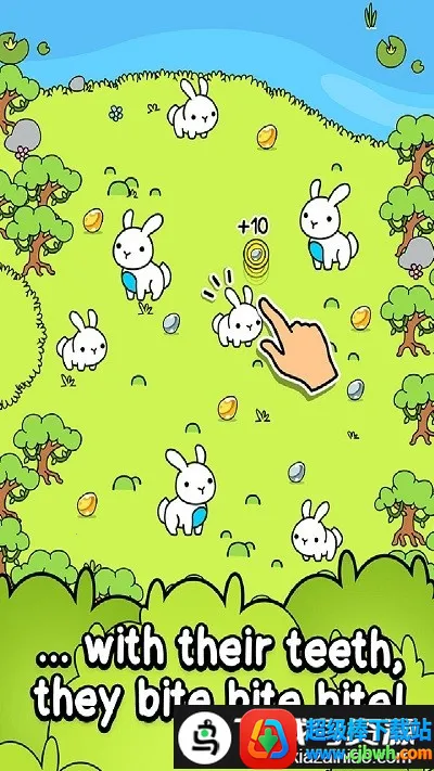 ���ӽ�����2026�ٷ����°汾