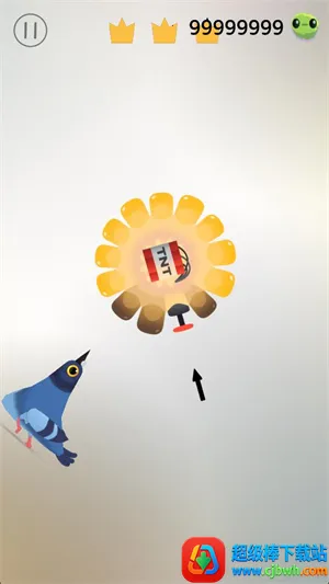 pigeonpop最新手机版 pigeonpop最新手机版