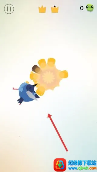 pigeonpop最新手机版 pigeonpop最新手机版