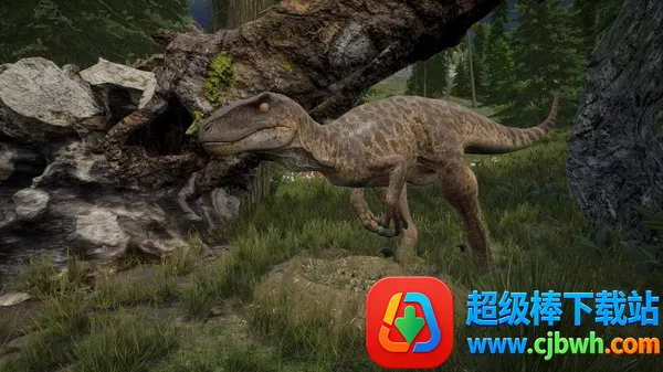 ��������������2026���°汾