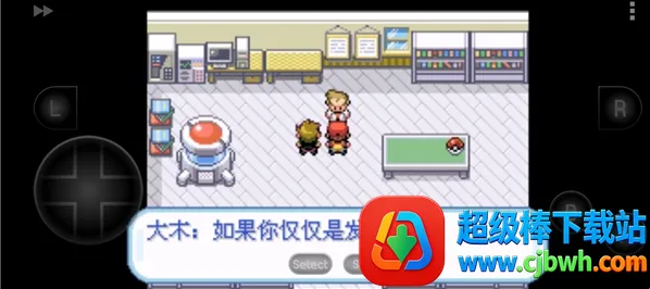 �ڴ�������Ҷ