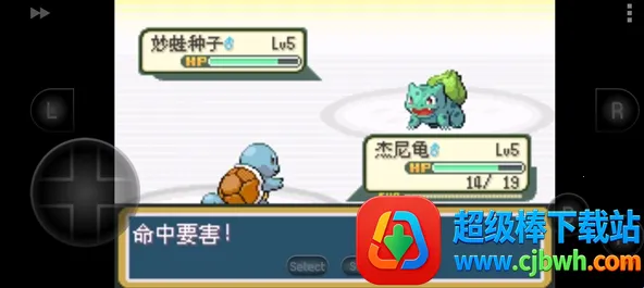 �ڴ�������Ҷ