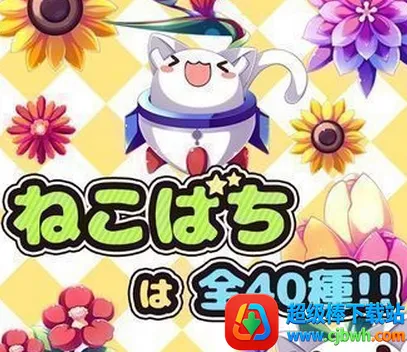 è�仨��2026���°汾