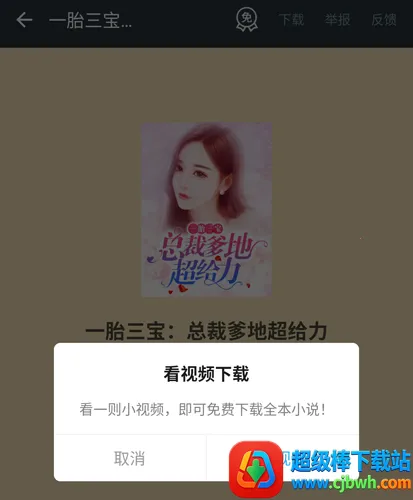 ����С˵�ɰ汾����