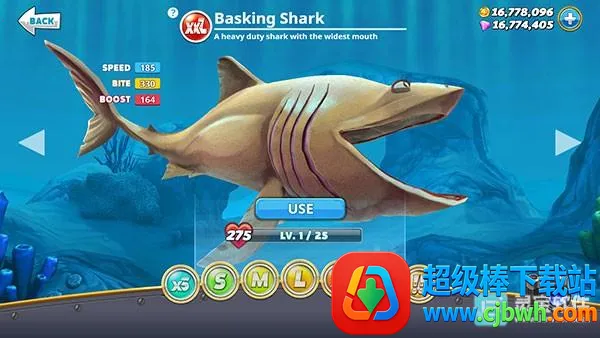 ���������������޸���