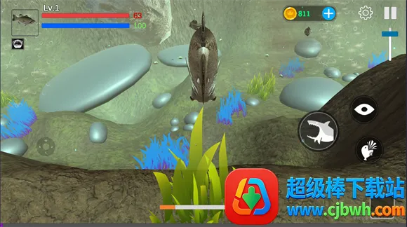 ���״���ɱ������