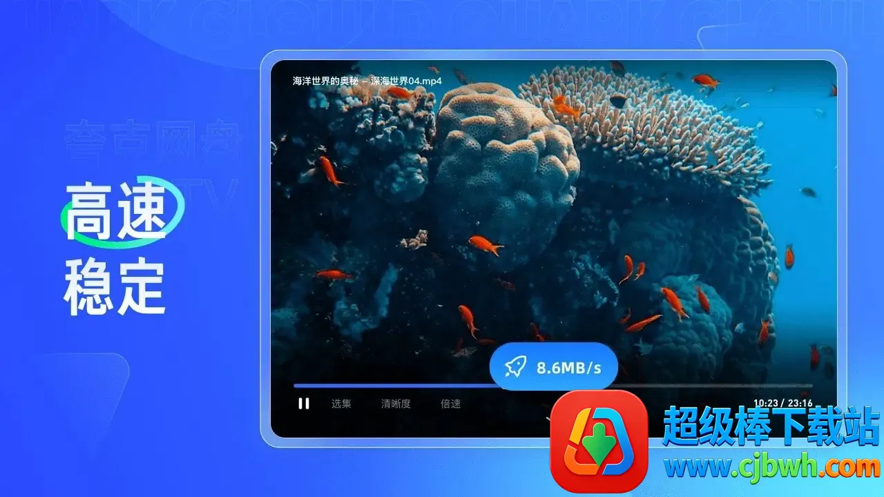 �������tv��2026�ٷ�����