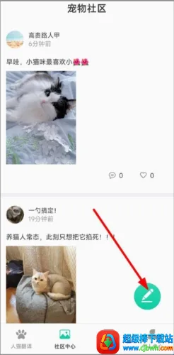 Cat Translation(è�﷭�빤��)