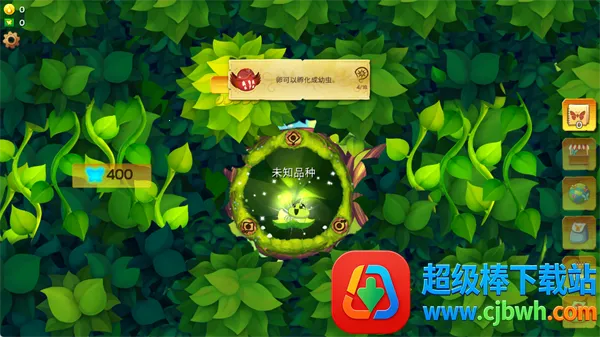 ������������������