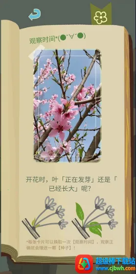 ��ũ������������