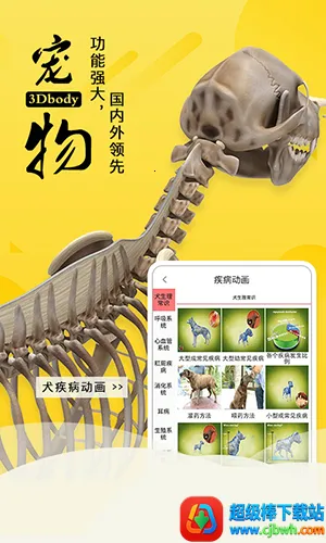 3dbody�����ƽ��