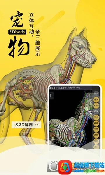 3dbody�����ƽ��