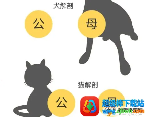 3dbody宠物版免费 3dbody宠物版免费