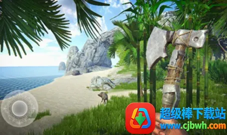 最后的海盗岛屿生存2026最新版本 最后的海盗岛屿生存2026最新版本