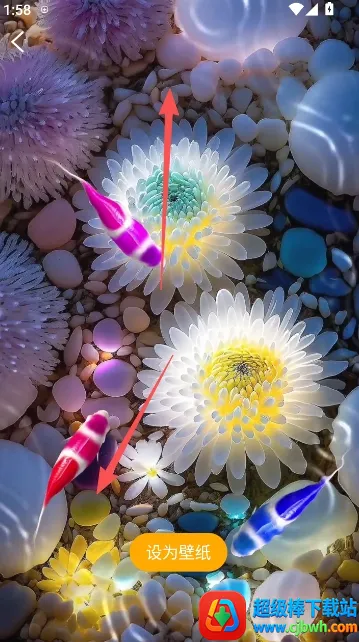 ��������ֽ2026���°汾