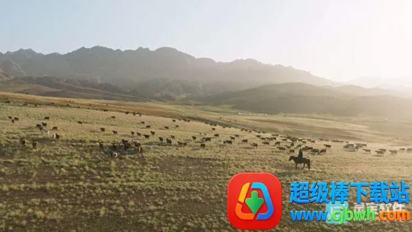 ȫ�ۺ�TV2026�ٷ�����