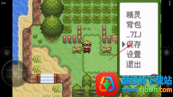 �ڴ��������뱦������(�ڴ��������뱦������)