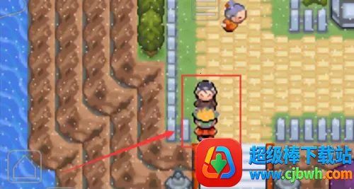 �ڴ��������뱦������