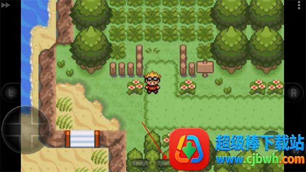 �ڴ��������뱦������