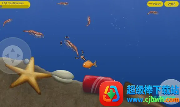 ��ζ���������