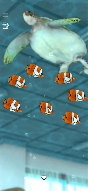 �������ѣ���ɫ(�κ�ʱ�������Ϸ)