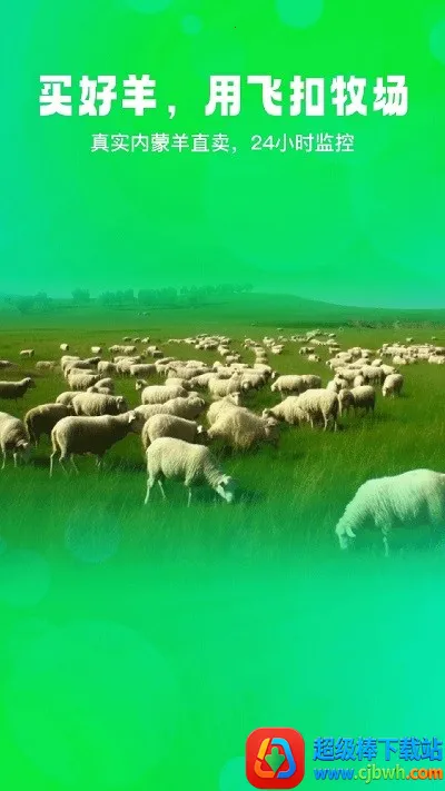 飞扣(宠物养殖管理) 飞扣(宠物养殖管理)