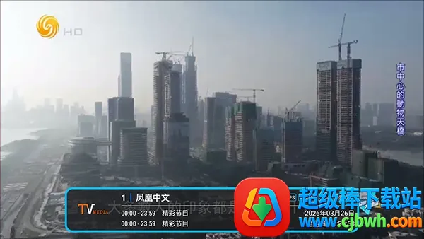 �͵�TV����(����ֱ������)