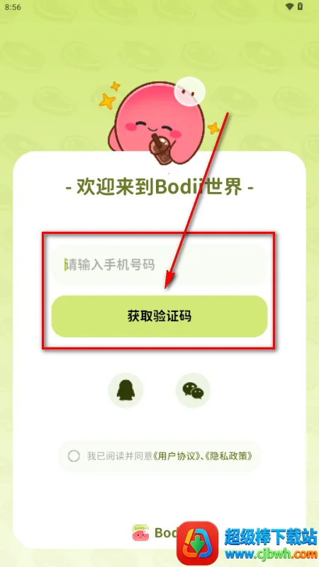 Bodii��������(��֬����Ӧ��)