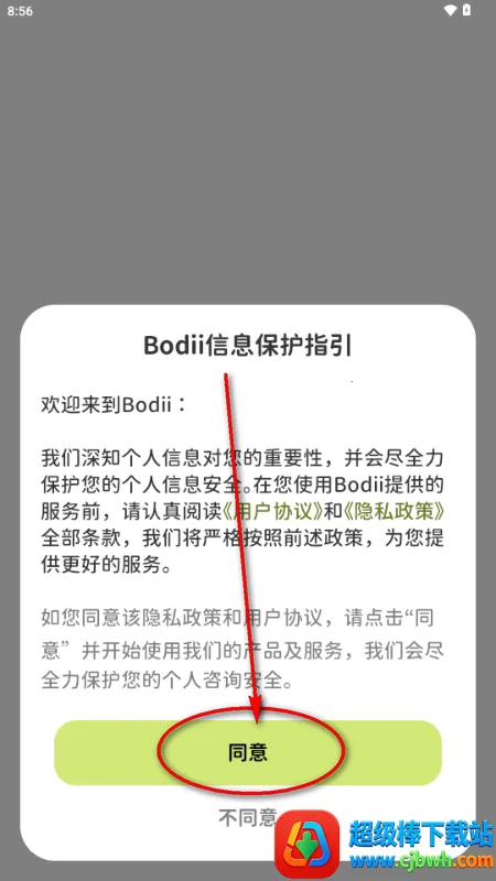 Bodii��������