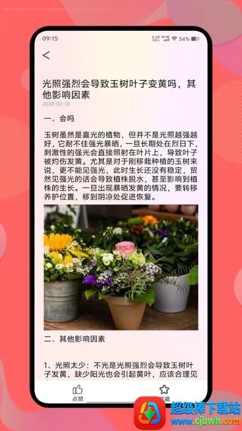 �����������ֻ���