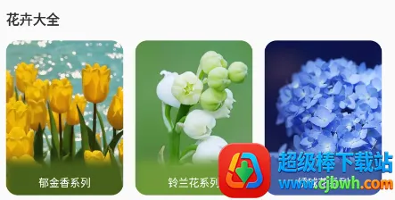 ����¼(ֲ��ʶ����������)