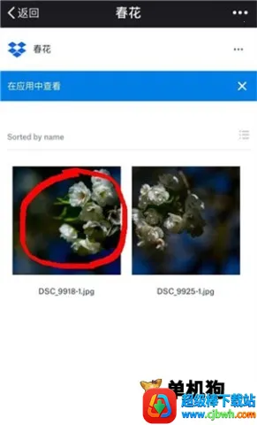 dropbox(云存储工具) dropbox(云存储工具)