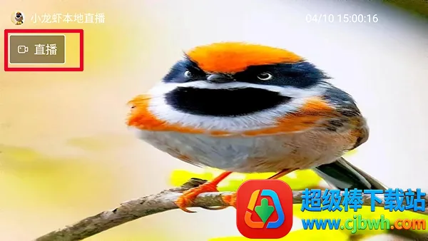 С��Ϻֱ��(����ֱ������)