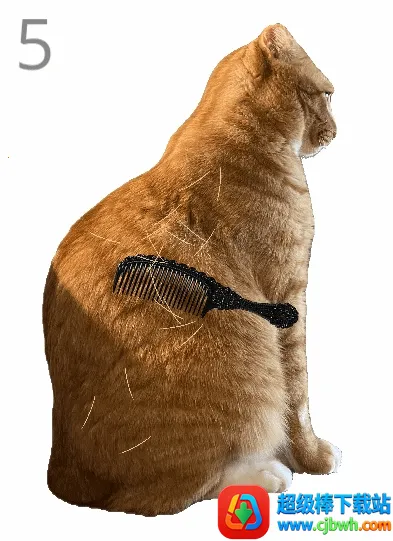 ��è��ë(è��ë������Ϸ)