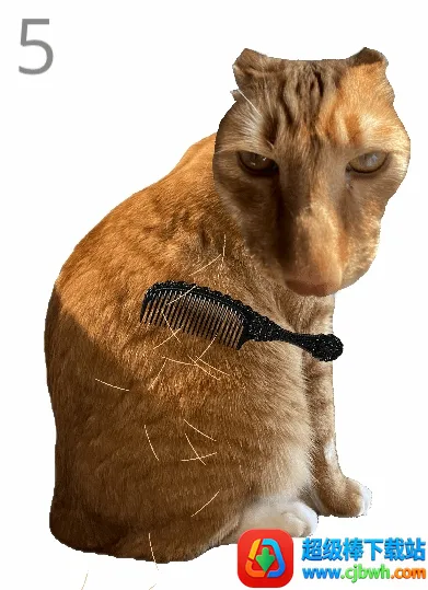 ��è��ë(è��ë������Ϸ)