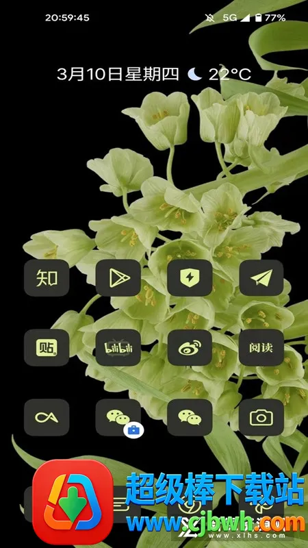 cayicons2026�ٷ�����