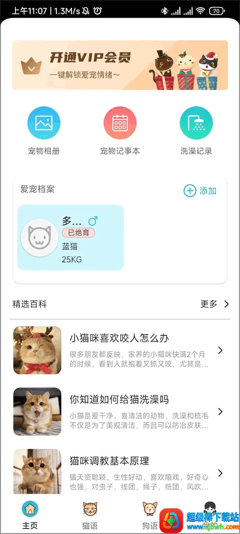 è�ﹷ�ｻ����2026���°汾