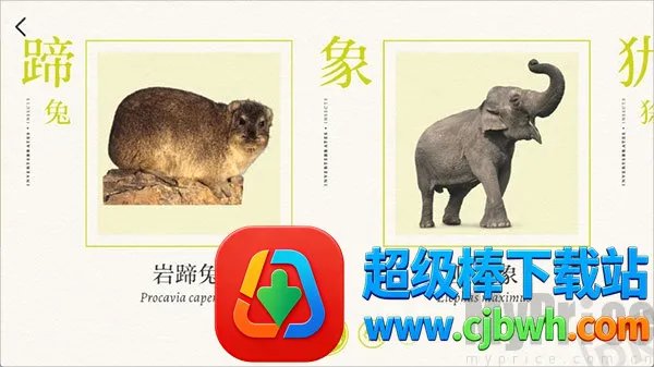 DK�ٿ�2026�ٷ����°汾