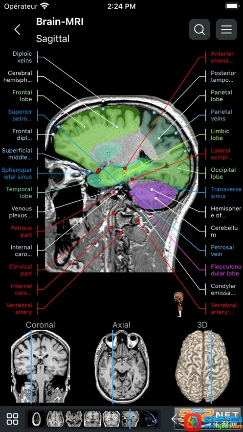 e-Anatomy(����ͼ������)